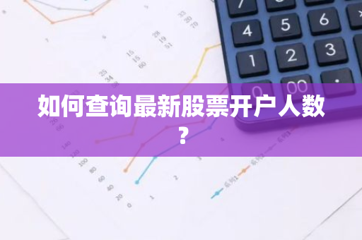 如何查询最新股票开户人数？