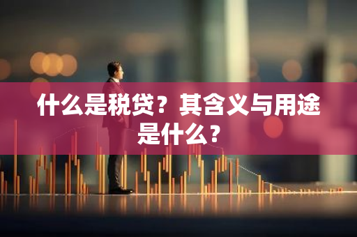 什么是税贷？其含义与用途是什么？