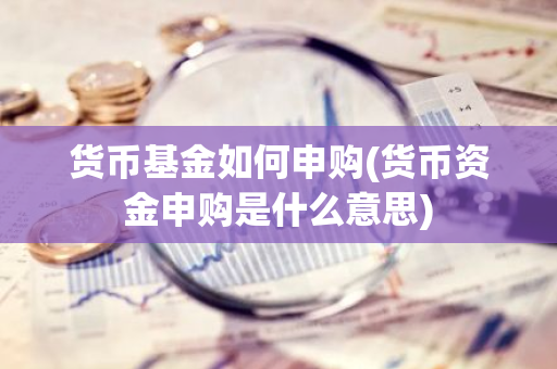 货币基金如何申购(货币资金申购是什么意思)