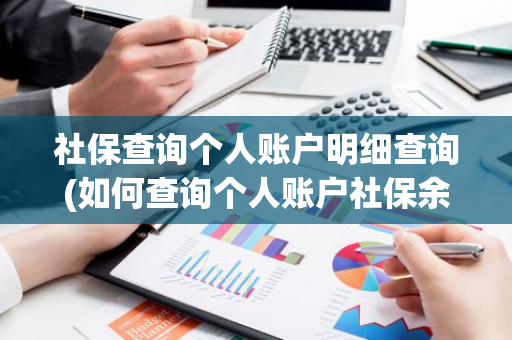 社保查询个人账户明细查询(如何查询个人账户社保余额及缴费明细)