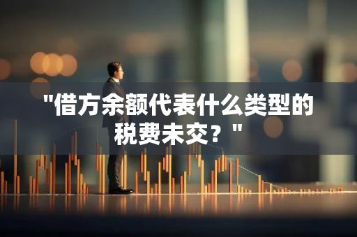 "借方余额代表什么类型的税费未交？"