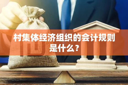 村集体经济组织的会计规则是什么？