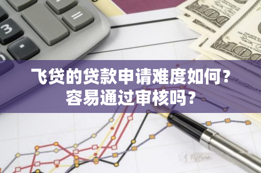 飞贷的贷款申请难度如何？容易通过审核吗？
