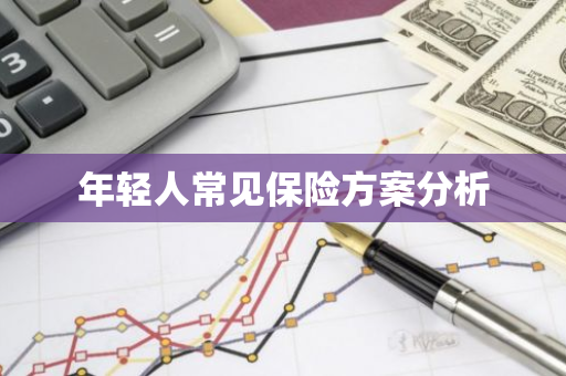 年轻人常见保险方案分析