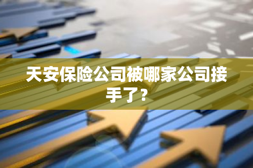 天安保险公司被哪家公司接手了？