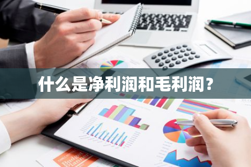 什么是净利润和毛利润？