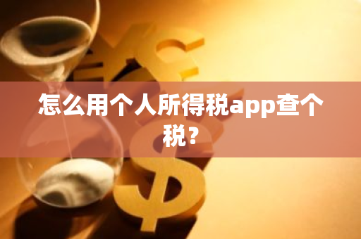 怎么用个人所得税app查个税？