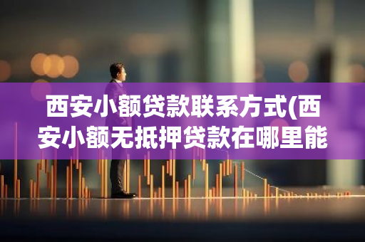 西安小额贷款联系方式(西安小额无抵押贷款在哪里能办理呢)