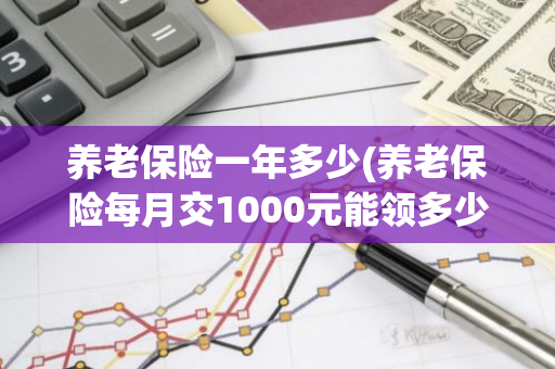 养老保险一年多少(养老保险每月交1000元能领多少钱)
