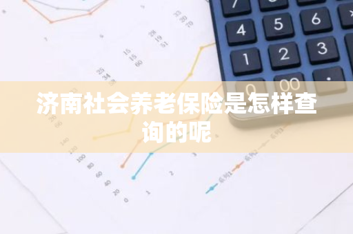 济南社会养老保险是怎样查询的呢