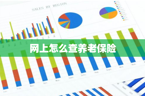 网上怎么查养老保险