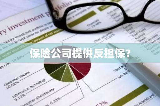保险公司提供反担保？