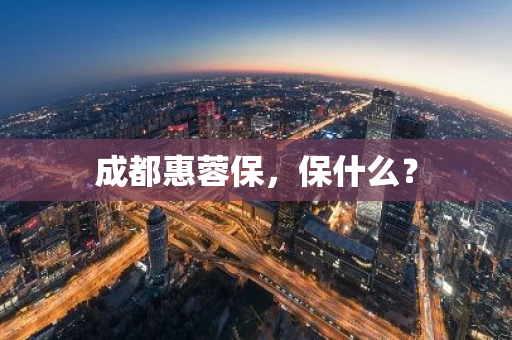 成都惠蓉保，保什么？