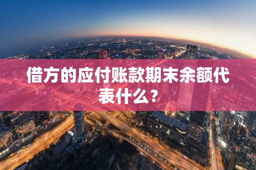 借方的应付账款期末余额代表什么？