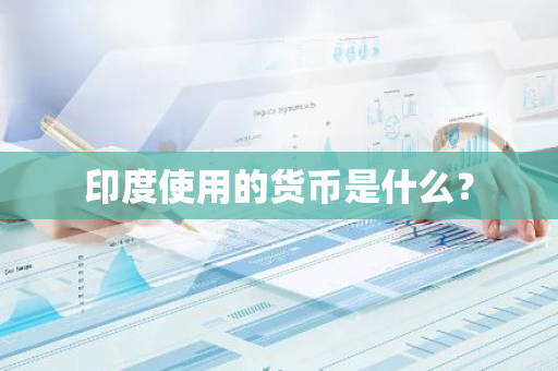 印度使用的货币是什么？