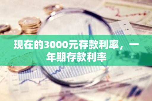 现在的3000元存款利率，一年期存款利率