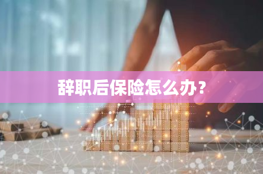 辞职后保险怎么办？