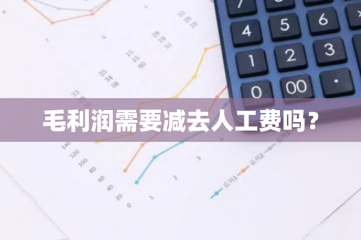 毛利润需要减去人工费吗？
