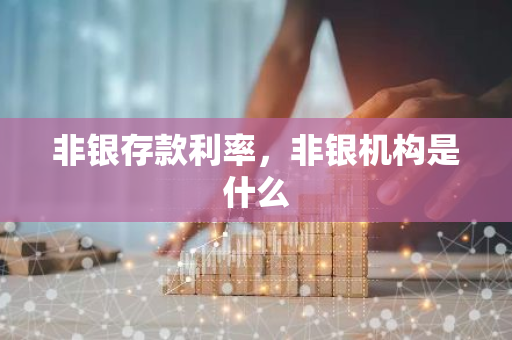 非银存款利率，非银机构是什么