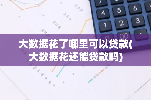 大数据花了哪里可以贷款(大数据花还能贷款吗)
