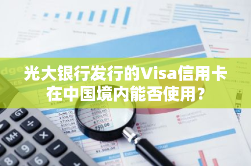 光大银行发行的Visa信用卡在中国境内能否使用？