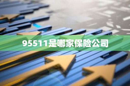 95511是哪家保险公司