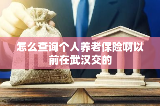 怎么查询个人养老保险啊以前在武汉交的