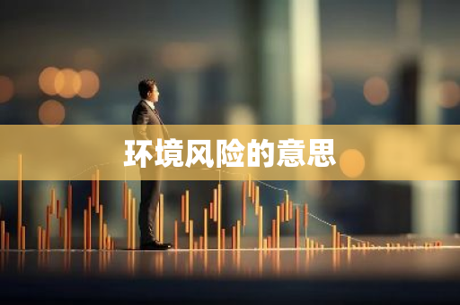环境风险的意思
