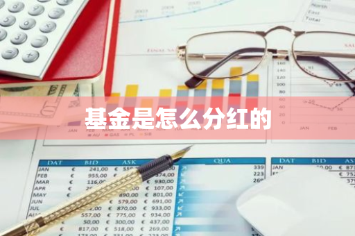 基金是怎么分红的