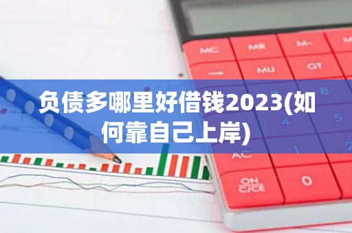 负债多哪里好借钱2023(如何靠自己上岸)
