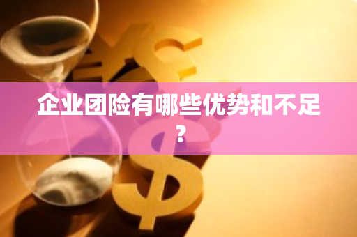 企业团险有哪些优势和不足？