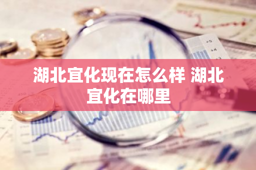 湖北宜化现在怎么样 湖北宜化在哪里