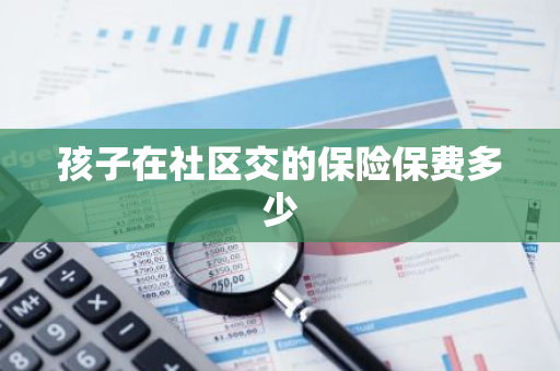 孩子在社区交的保险保费多少