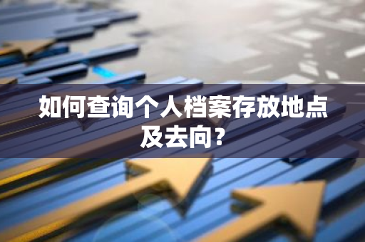 如何查询个人档案存放地点及去向？
