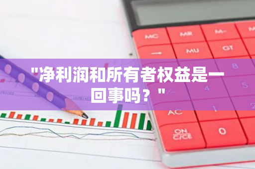 "净利润和所有者权益是一回事吗？"