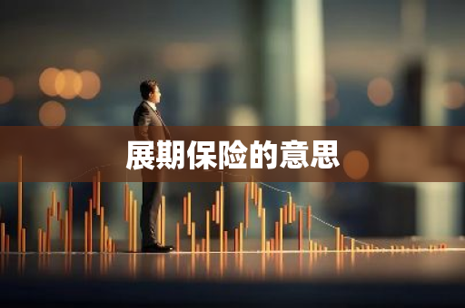 展期保险的意思