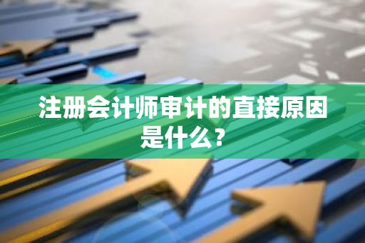 注册会计师审计的直接原因是什么？