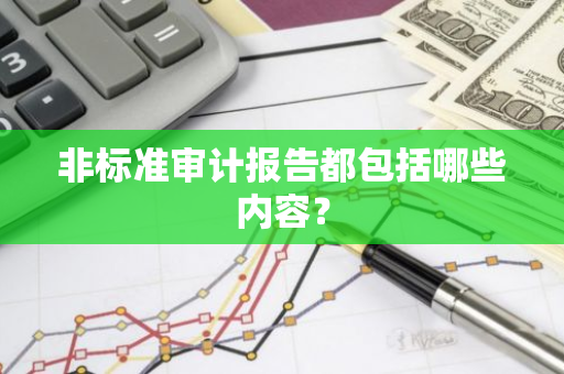 非标准审计报告都包括哪些内容？