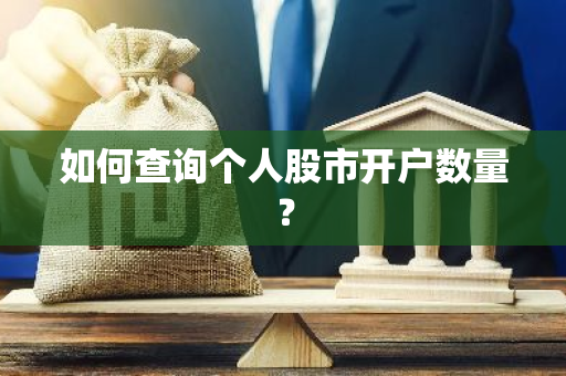 如何查询个人股市开户数量？