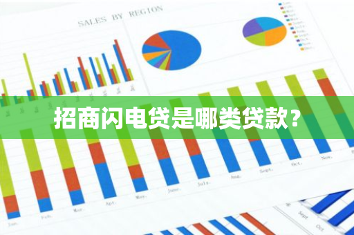 招商闪电贷是哪类贷款？