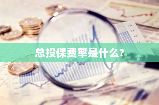 总投保费率是什么?