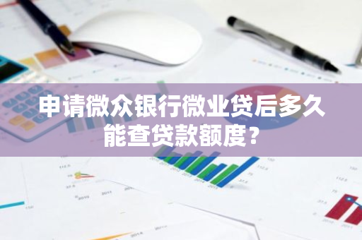 申请微众银行微业贷后多久能查贷款额度？