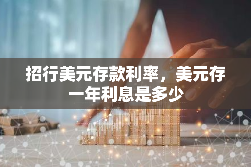 招行美元存款利率，美元存一年利息是多少