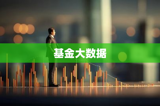 基金大数据