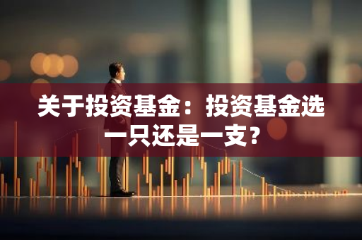 关于投资基金：投资基金选一只还是一支？