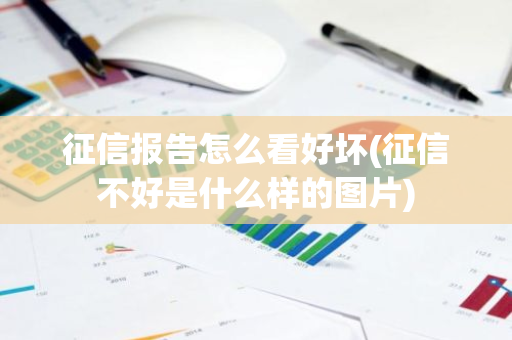 征信报告怎么看好坏(征信不好是什么样的图片)