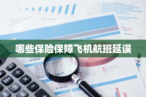 哪些保险保障飞机航班延误