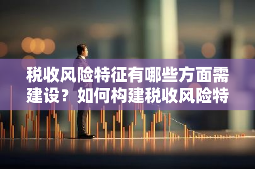 税收风险特征有哪些方面需建设？如何构建税收风险特征体系？