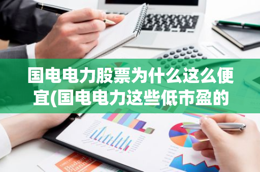 国电电力股票为什么这么便宜(国电电力这些低市盈的股就是不涨)