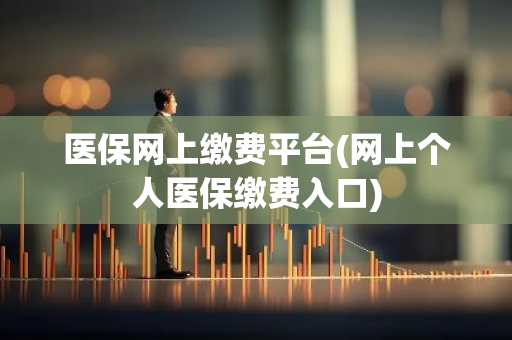 医保网上缴费平台(网上个人医保缴费入口)